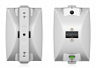 Tannoy DVS 6T-WH2