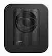 Genelec 7370AP Активный студийный сабвуфер1