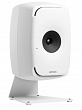 Genelec Genelec 8000-325W1