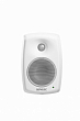 Genelec 4020CXM1