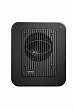 Genelec 7040APM Активный студийный сабвуфер1