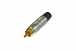 Rean RF2C-AU-01