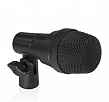 Carol GO-242