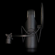Aston Microphones ELEMENT BUNDLE студийный динамический кардиоидный микрофон с большой диафрагмой3