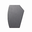 RFIntell PC81