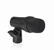 Carol GO-231