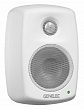 Genelec 4010AW2