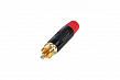 Rean RF2C-B-21